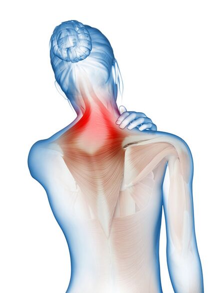 Entzündung und Schmerzen in Muskeln und Gelenken - der Grund für die Verwendung von Motion Energy